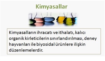 Kimyasallar